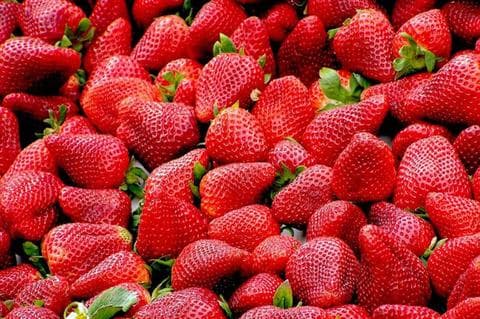 Fresh and frozen organic strawberries